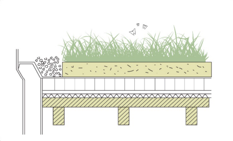 Viser konstruktion med græs på taget